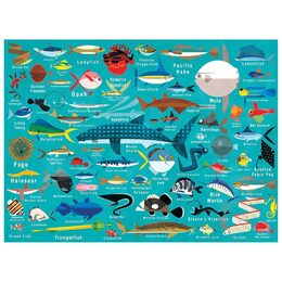 Mudpuppy Puzzle Život v oceánu 1000 dílků