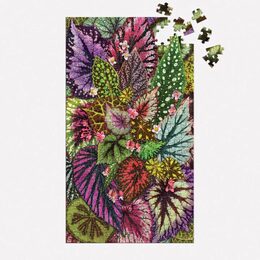 Galison Puzzle Pokojové rostliny 3x250 dílků