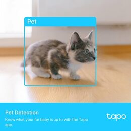 TP-Link Tapo C225