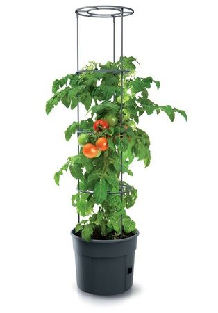 Květináč Prosperplast TOMATO GROWER na pěstování rajčat 29,5 cm antracit