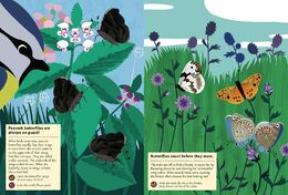 Chronicle Books Kniha aktivit se samolepkami my nature Motýli světa