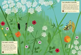 Chronicle Books Kniha aktivit se samolepkami my nature Motýli světa