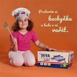 Stavebnice Seva plast Rodina Veliká 915ks v krabici 27x38x18cm