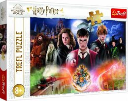 Puzzle Tajemství Harry Potter 300dílků 60x40cm v krabici 40x27x4cm