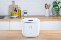 Lauben Low Sugar Rice Cooker 3000WT