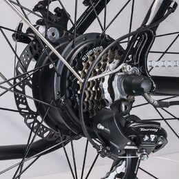 MS Energy E-bike T10