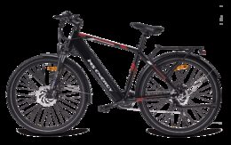 MS Energy E-bike T10
