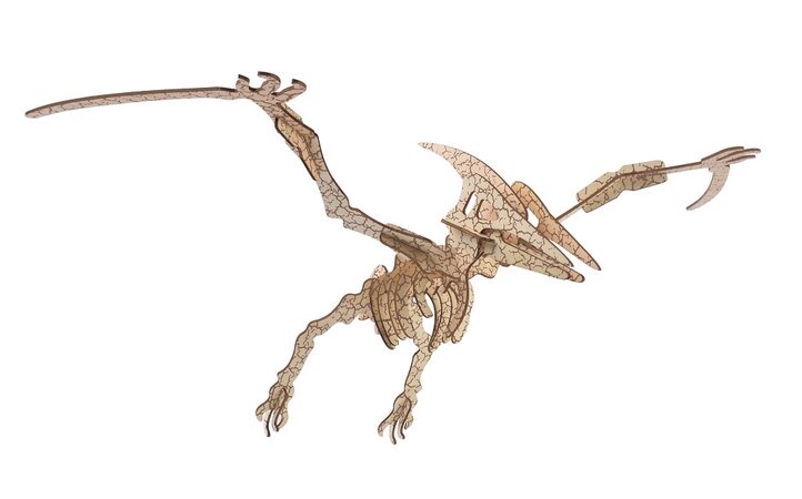 Woodcraft Dřevěné 3D puzzle Pterosaur