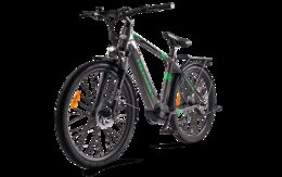 MS Energy E-bike T100