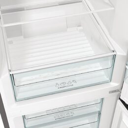 Gorenje NRC61CSXL4