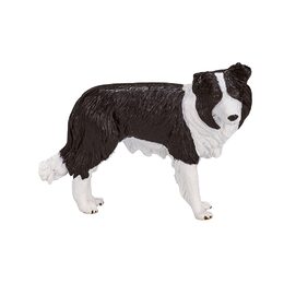 Mojo Border kolie