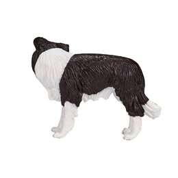 Mojo Border kolie