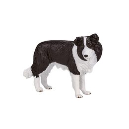 Mojo Border kolie