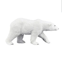 Mojo Lední medvěd