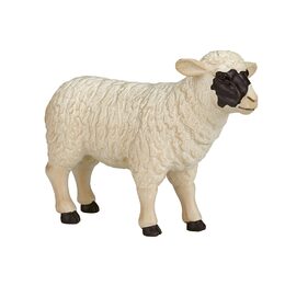 Mojo Hampshire ovce