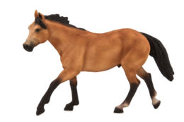 Mojo Quarter horse plavák