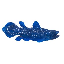 Mojo Coelacanth