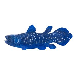 Mojo Coelacanth