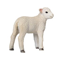 Mojo Jehňátko romney marsh stojící
