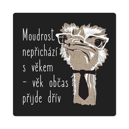 Pánské tričko - Moudrost nepřichází s věkem, vel. L