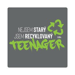 Pánské tričko - Recyklovaný teenager, vel. XL