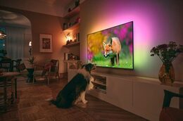 Philips TV 85PUS8818/12