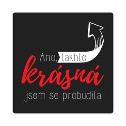 Dámské tričko - Krásná, vel. L