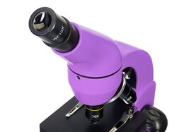 Levenhuk Mikroskop Rainbow 50L Amethyst