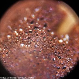 Levenhuk Mikroskop Rainbow D50L PLUS Moonstone