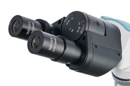 Levenhuk 500B Binocular Microscope