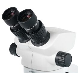 Levenhuk ZOOM 1B Binocular Microscope