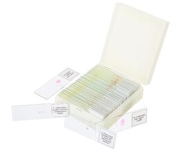 Discovery Prof Specimens DPS 25. Biology, Birds, e