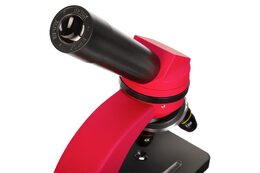 Discovery Nano Terra Microscope