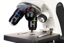 Discovery Pico Polar Microscope