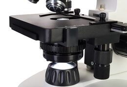Discovery Atto Polar Microscope