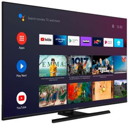 Televize GoGEN TVQ 55X852 GWEB