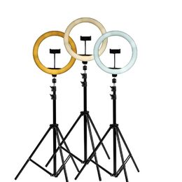 GRUNDIG Kruhové světlo RING LIGHT 120 LEDED-223497