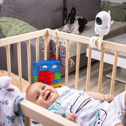 TrueLife NannyCam holder