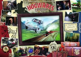 Puzzle Harry Potter Bradavický expres 934 dílků 68x48cm v krabici 26x26x10cm