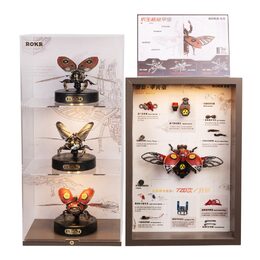 RoboTime 3D mechanické puzzle Brouk nosorožík