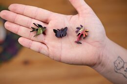 EscapeWelt Dřevěné puzzle Tukan 500 dílků