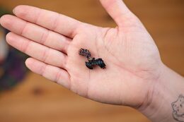 EscapeWelt Dřevěné puzzle Tukan 500 dílků