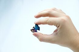 EscapeWelt Dřevěné puzzle Motýl 500 dílků