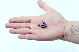 EscapeWelt Dřevěné puzzle Motýl 500 dílků