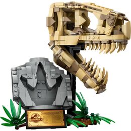 Dinosauří fosilie: Lebka T-rexe 76964