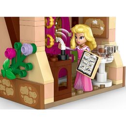 Disney princezna a její dob 43246