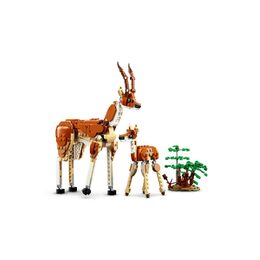 Divoká zvířata ze safari 31150 LEGO