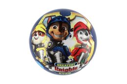 Míč Tlapková patrola/Paw patrol nafouknutý 23cm modrý v síťce