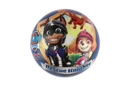 Míč Tlapková patrola/Paw patrol nafouknutý 23cm modrý v síťce