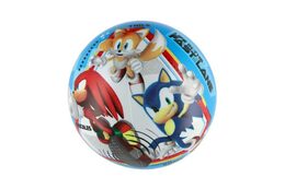 Míč Ježek Sonic nafouknutý 23cm v síťce